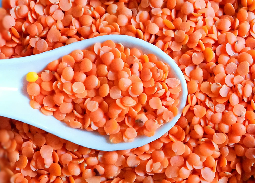 Red-Lentils